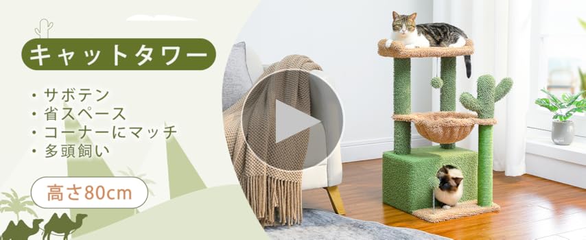 Amazon | PAWZ Road キャットタワー ミニ 猫タワー サボテン